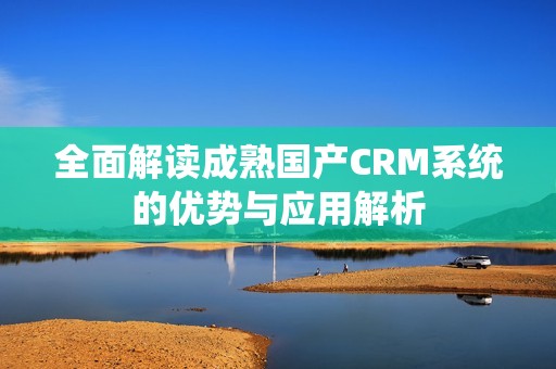 全面解读成熟国产CRM系统的优势与应用解析