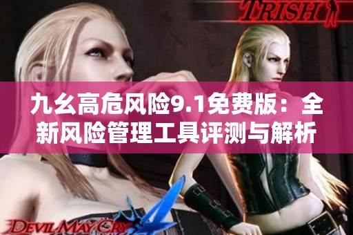 九幺高危风险9.1免费版：全新风险管理工具评测与解析