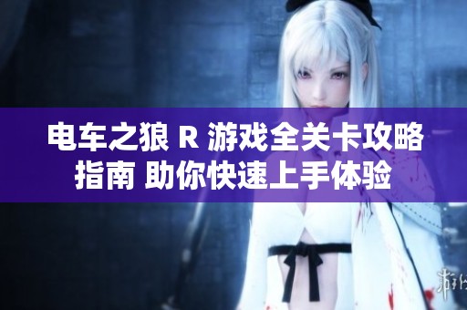 电车之狼 R 游戏全关卡攻略指南 助你快速上手体验