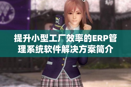 提升小型工厂效率的ERP管理系统软件解决方案简介