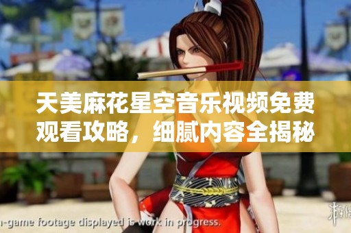 天美麻花星空音乐视频免费观看攻略，细腻内容全揭秘