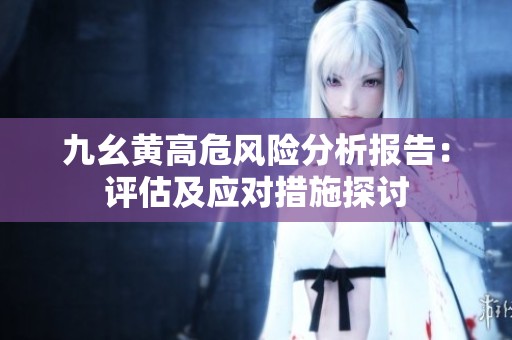 九幺黄高危风险分析报告：评估及应对措施探讨