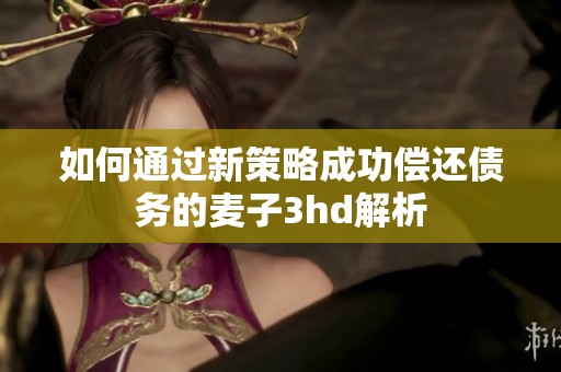 如何通过新策略成功偿还债务的麦子3hd解析