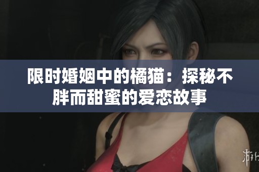 限时婚姻中的橘猫：探秘不胖而甜蜜的爱恋故事
