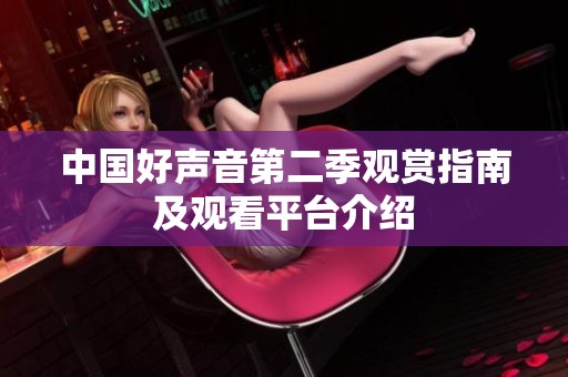中国好声音第二季观赏指南及观看平台介绍