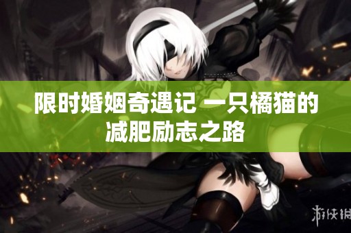 限时婚姻奇遇记 一只橘猫的减肥励志之路
