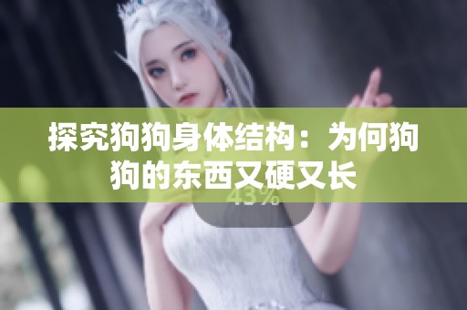 探究狗狗身体结构：为何狗狗的东西又硬又长