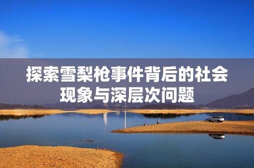 探索雪梨枪事件背后的社会现象与深层次问题
