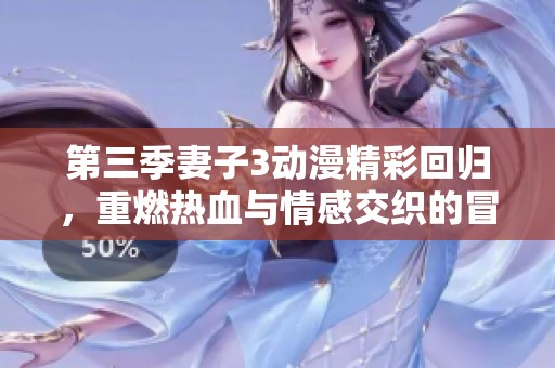 第三季妻子3动漫精彩回归，重燃热血与情感交织的冒险之旅