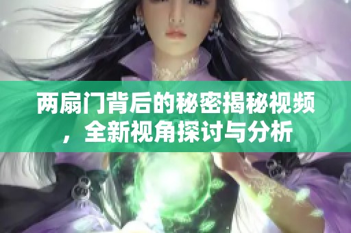 两扇门背后的秘密揭秘视频，全新视角探讨与分析