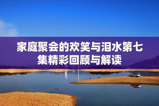 家庭聚会的欢笑与泪水第七集精彩回顾与解读