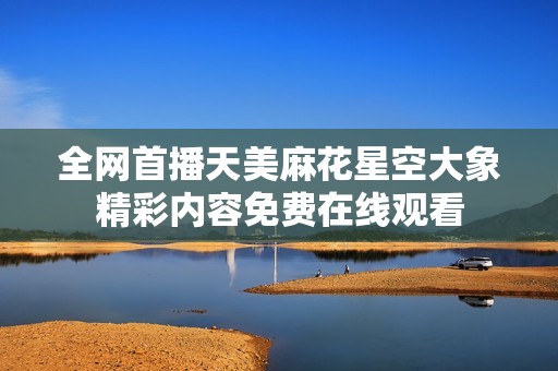 全网首播天美麻花星空大象精彩内容免费在线观看
