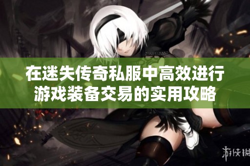 在迷失传奇私服中高效进行游戏装备交易的实用攻略