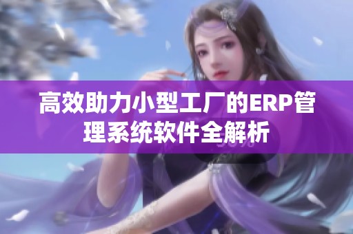 高效助力小型工厂的ERP管理系统软件全解析