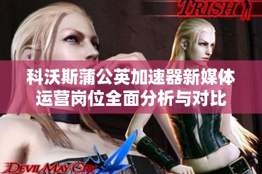 科沃斯蒲公英加速器新媒体运营岗位全面分析与对比