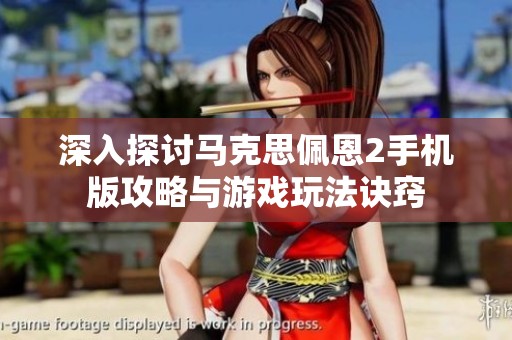 深入探讨马克思佩恩2手机版攻略与游戏玩法诀窍