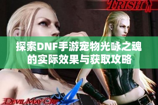 探索DNF手游宠物光咏之魂的实际效果与获取攻略