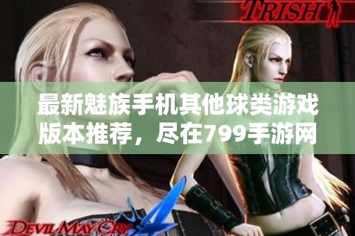 最新魅族手机其他球类游戏版本推荐，尽在799手游网