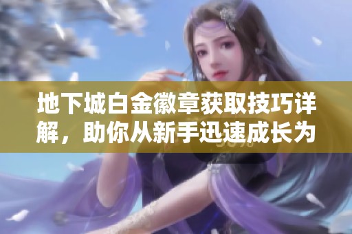 地下城白金徽章获取技巧详解，助你从新手迅速成长为高手