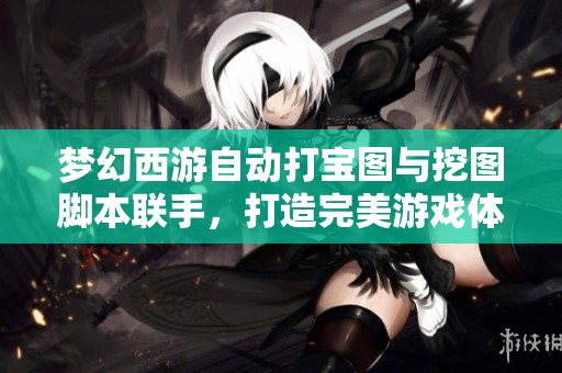 梦幻西游自动打宝图与挖图脚本联手，打造完美游戏体验