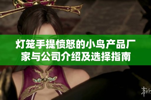 灯笼手提愤怒的小鸟产品厂家与公司介绍及选择指南