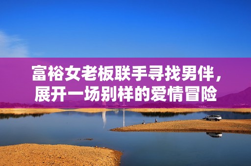 富裕女老板联手寻找男伴，展开一场别样的爱情冒险