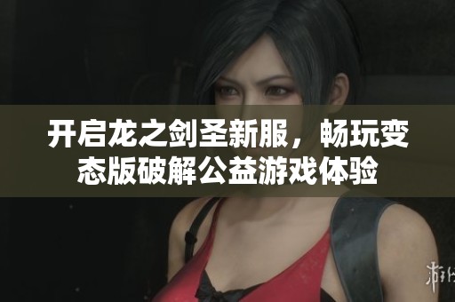 开启龙之剑圣新服，畅玩变态版破解公益游戏体验