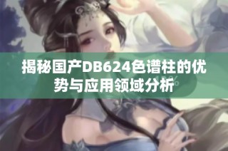 揭秘国产DB624色谱柱的优势与应用领域分析