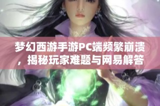 梦幻西游手游PC端频繁崩溃，揭秘玩家难题与网易解答