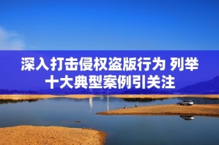 深入打击侵权盗版行为 列举十大典型案例引关注