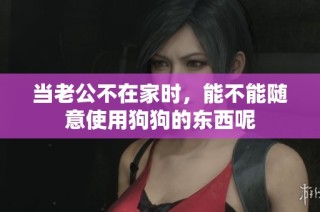 当老公不在家时，能不能随意使用狗狗的东西呢