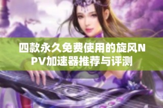 四款永久免费使用的旋风NPV加速器推荐与评测