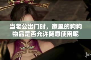 当老公出门时，家里的狗狗物品是否允许随意使用呢