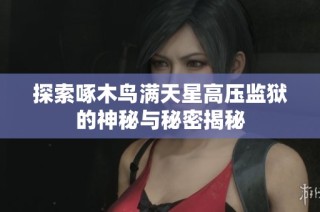 探索啄木鸟满天星高压监狱的神秘与秘密揭秘
