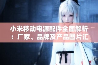 小米移动电源配件全面解析：厂家、品牌及产品图片汇总