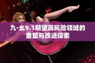 九·幺9.1期望高风险领域的重塑与改进探索