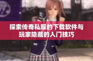 探索传奇私服的下载软件与玩家隐藏的入门技巧