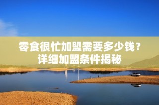 零食很忙加盟需要多少钱？详细加盟条件揭秘