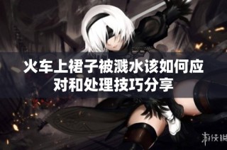火车上裙子被溅水该如何应对和处理技巧分享