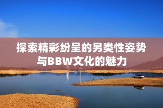 探索精彩纷呈的另类性姿势与BBW文化的魅力