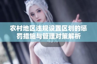 农村地区违规设置区划的惩罚措施与管理对策解析