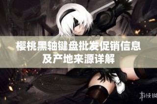 樱桃黑轴键盘批发促销信息及产地来源详解