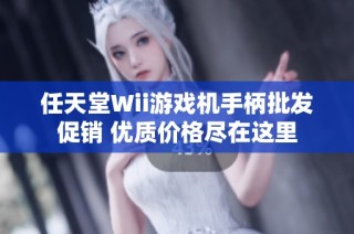 任天堂Wii游戏机手柄批发促销 优质价格尽在这里