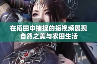 在稻田中捕捉的短视频展现自然之美与农田生活