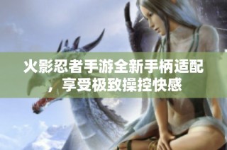 火影忍者手游全新手柄适配，享受极致操控快感
