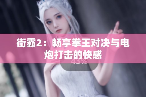 街霸2：畅享拳王对决与电炮打击的快感